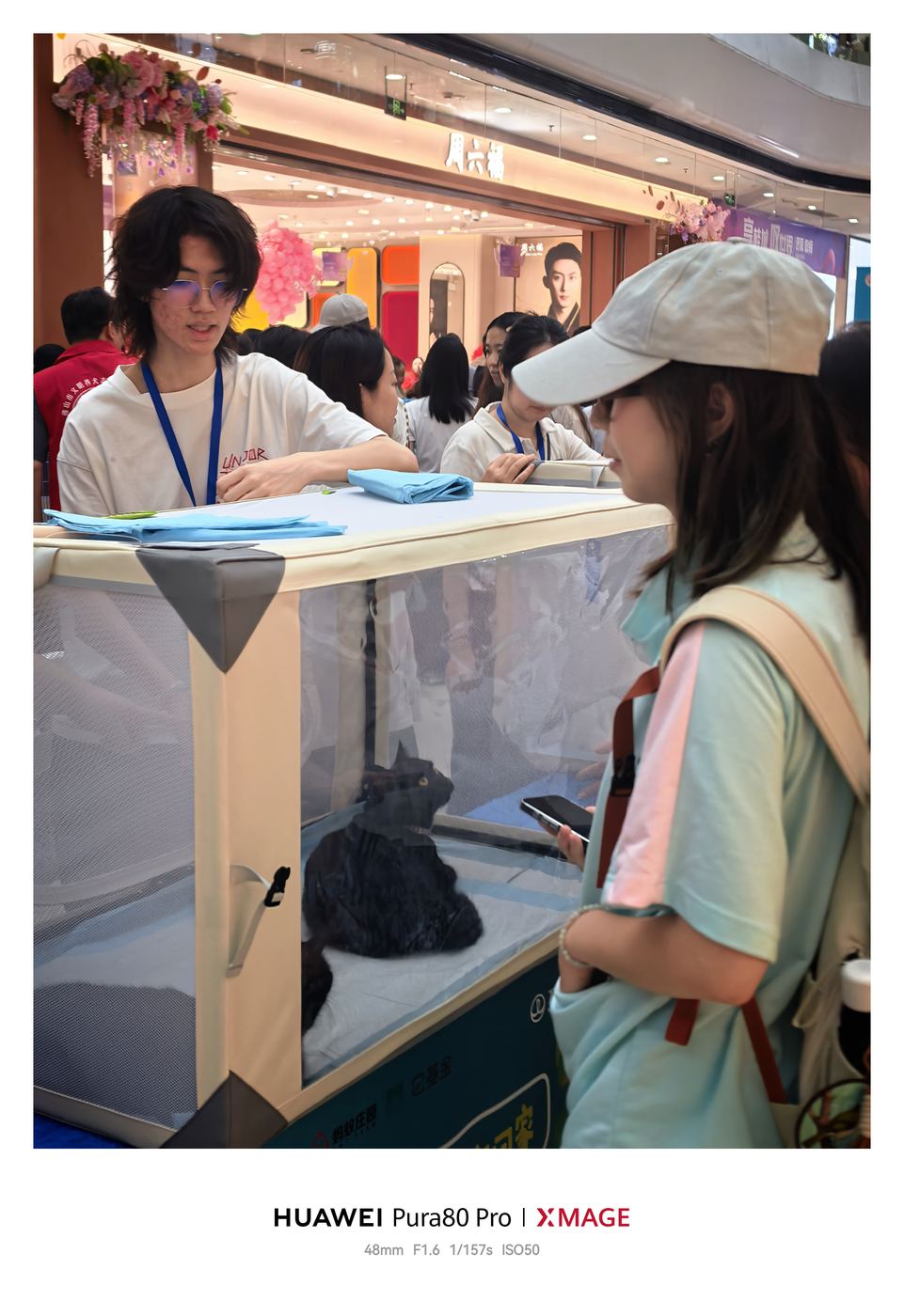 Volunteer activity snapshot