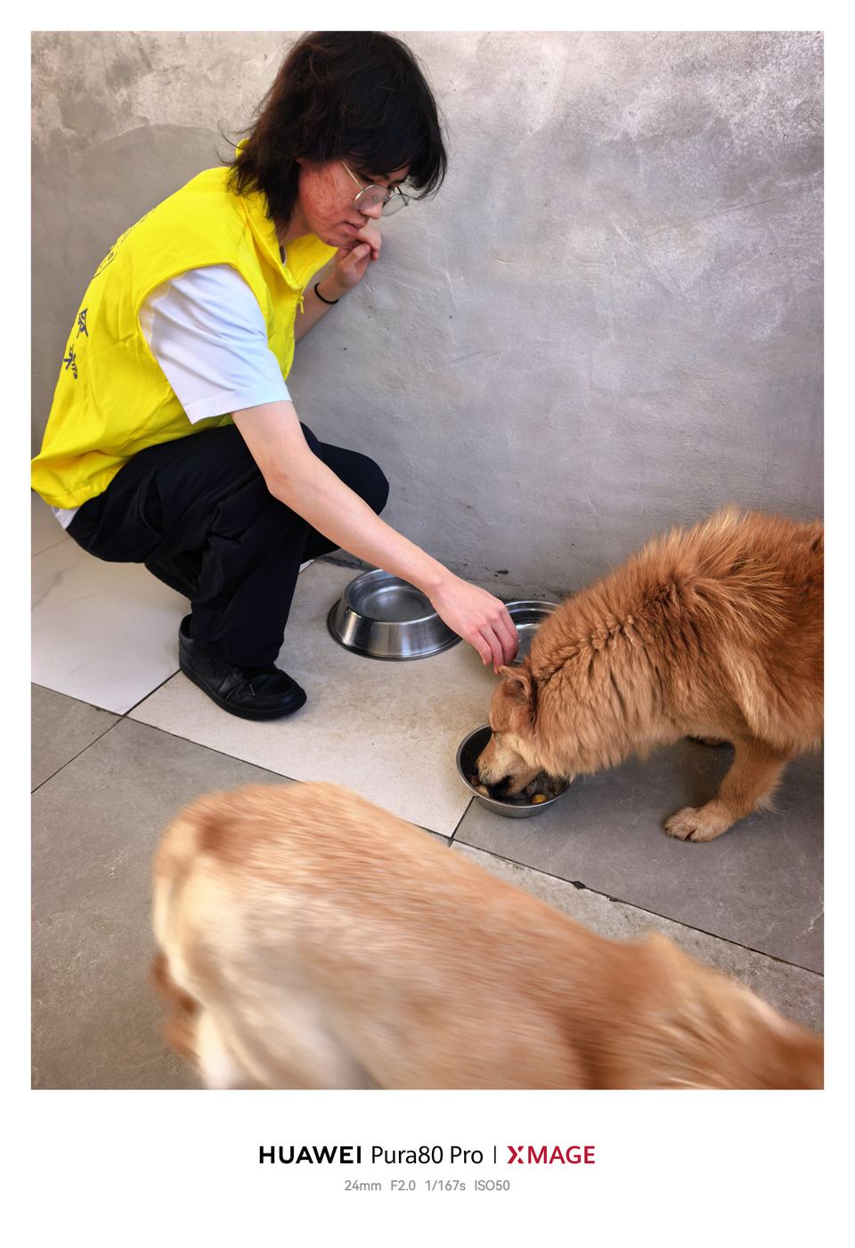 Volunteer activity snapshot