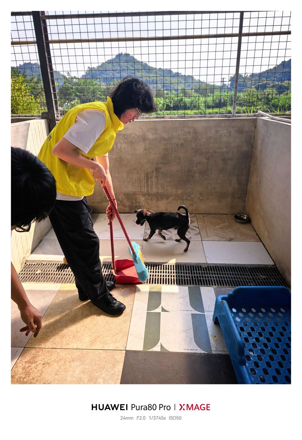 Volunteer activity snapshot